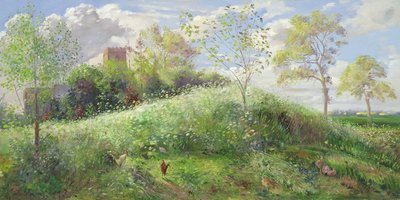 Cow Parsley Hill，1991 作者 蒂莫西·伊斯顿