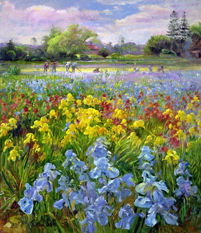 锄草队和鸢尾花田 作者 蒂莫西·伊斯顿