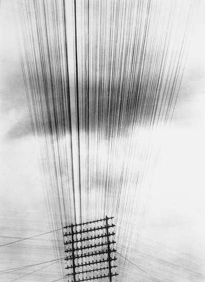 电话线，墨西哥，1925年 作者 Tina Modotti