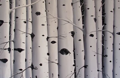 桦树，2017（丙烯酸画布） 作者 蒂娜·帕尔默（Tina Palmer）