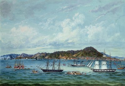 鉴于香港，1860年（纸上墨水和纸张） 作者 廷夸