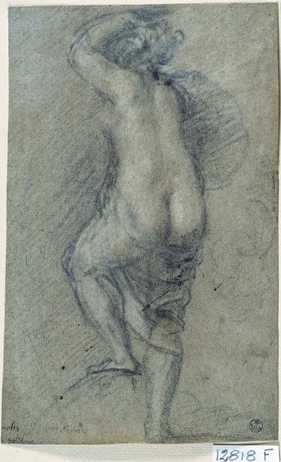 裸女（纸上粉笔画） 作者 Titian (c.1488 1576)