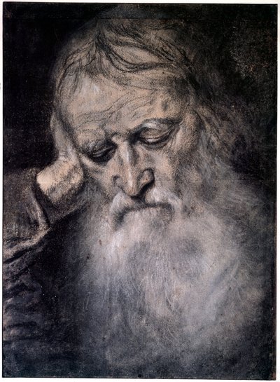 老人头图 提兹亚诺-维切利奥（Tiziano Vecellio），又称提香（1485-1576），16世纪 巴黎，卢浮宫博物馆 作者 蒂齐亚诺·韦切利（Tiziano Vecelli）