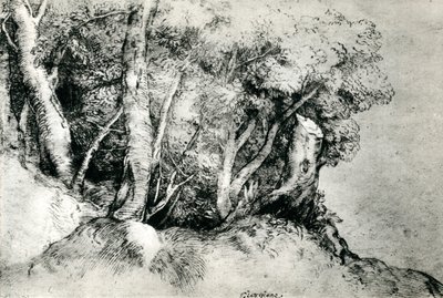 森林景观，c1516-1518，1937年 作者 蒂齐亚诺·韦切利（Tiziano Vecelli）