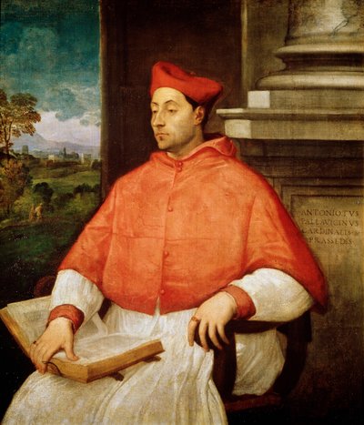 安东尼奥·帕拉维奇尼枢机主教肖像，1441-1507年 作者 Tiziano Vecelli