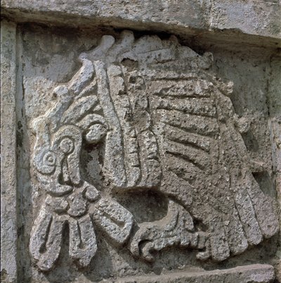 Relief of an eagle, temple of Quetzalcoatl 作者 托尔特克托尔特克