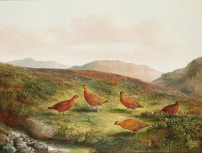 松鼠在荒野景观 作者 Tom Hold