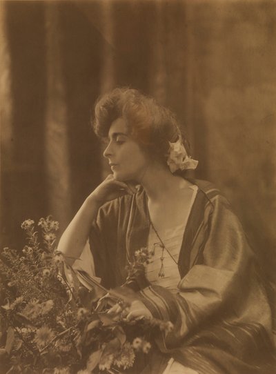 劳拉-德雷福斯-巴尼 作者 托普尼尔·罗伊松纳