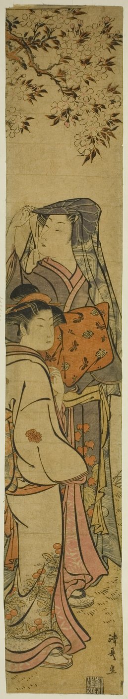 两个女人赏樱花 作者 永永鸟居