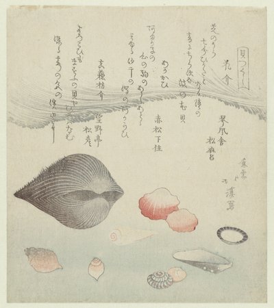 花贝壳、红贝壳和纯红贝壳
花贝、红贝和纯红贝（物品上的标题）
贝壳系列（系列名称）
贝壳系列（物品上的系列名称） 作者 东东屋北海