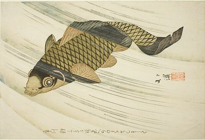 鲤鱼逆流而上 作者 东东屋北海