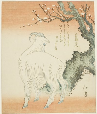 李树下的山羊 作者 东东屋北海