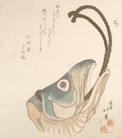 鲑鱼的头，约1820年。 作者 东东屋北海