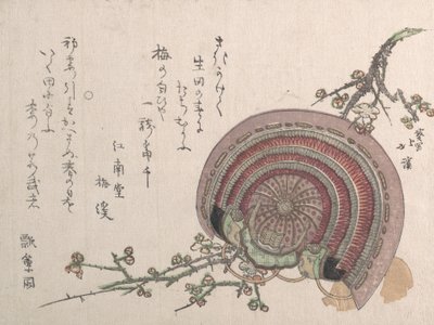 头盔和梅花。 作者 东东屋北海