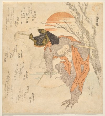猴子扮演桑巴斯舞者 作者 东东屋北海