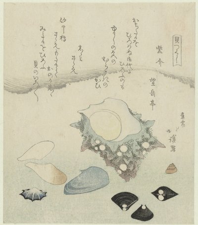紫贝、淡水蛤和蝾螈贝 Murasakigai shijimi sazae（物体上的标题） 贝壳系列（系列标题） Kaitsukushi（物体上的系列标题） 作者 东东屋北海