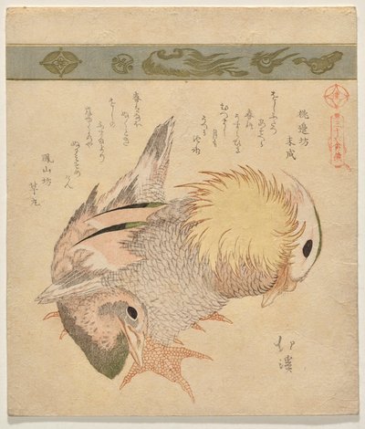 一对鸳鸯 作者 东东屋北海
