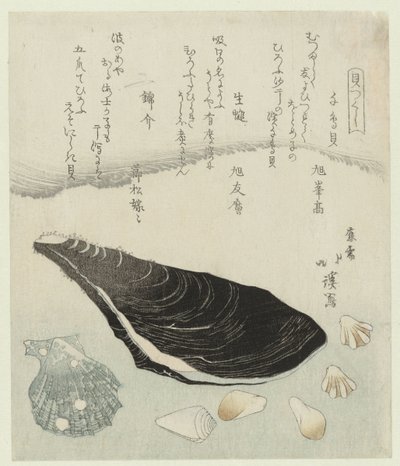 鸻贝、生贻贝和锦贝
Chidorigai namakaki nishikigai（物品标题）
贝壳系列（系列名称）
贝壳系列（物品上的系列名称） 作者 东东屋北海