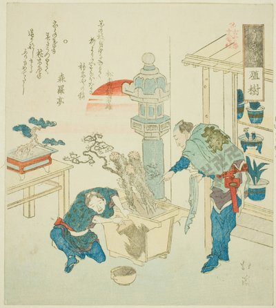 盆栽（Ueki），选自 "古文阶梯十八图 "系列 作者 东东屋北海