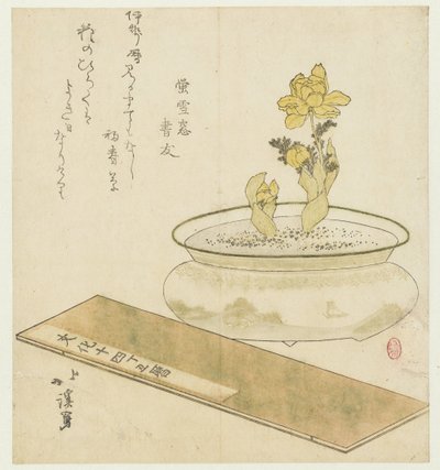 盆栽和年鉴 作者 东东屋北海