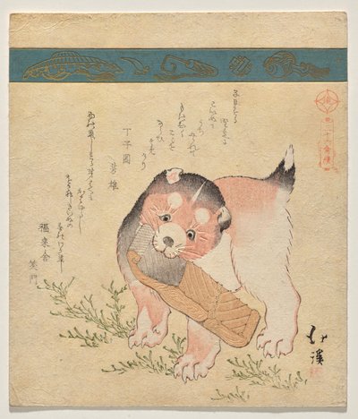 小狗与干鲑鱼片 作者 东东屋北海