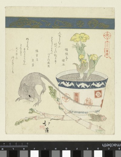 老鼠和碗与阿多尼斯
三十六鸟系列（系列名称）
三十六鳥（系列標題在物件上） 作者 东东屋北海