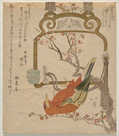 红鹦鹉（Sh?） 作者 东东屋北海