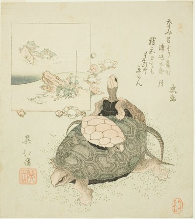 海龟和浦岛太郎 作者 东东屋北海
