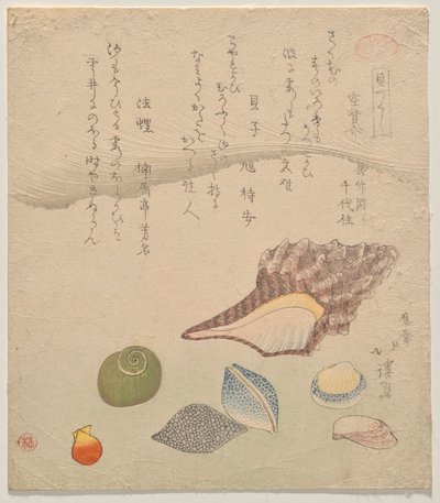 海边的七个贝壳》，选自《贝壳汇编》系列（Kaizukushi） 作者 东东屋北海