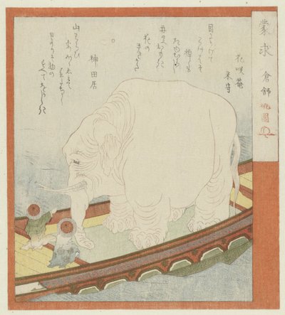 大象索约
无知的追寻者（实物上的系列名称） 作者 卡松庵米森
