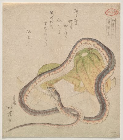 蛇缠葫芦（Chomonj?） 作者 东东屋北海