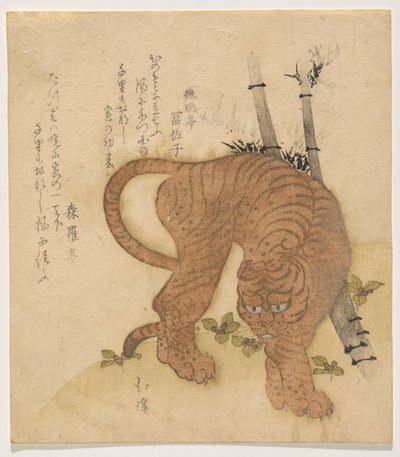 老虎摆姿势 作者 东东屋北海
