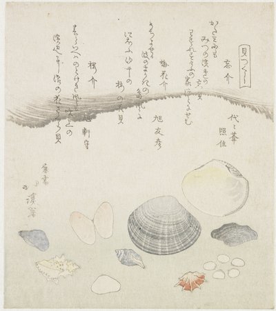 遗忘贝、梅花贝、樱花贝 Wasuregai、umenohanagai、sakuragai（物体上的标题） 贝壳系列（系列标题） Kaitsukushi（物体上的系列标题） 作者 东东屋北海