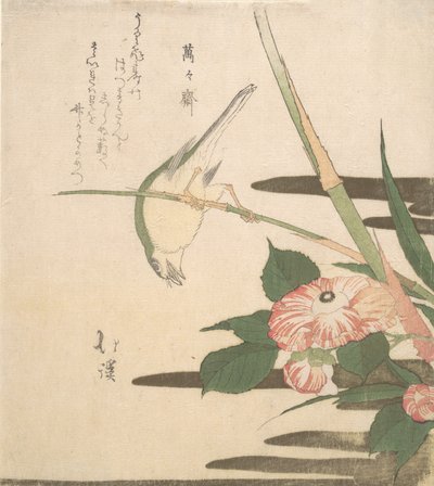 莺莺燕燕和山茶花，约1815-20。 作者 东东屋北海