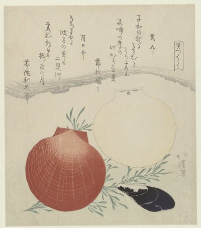 淡水贻贝和日本日月钵贝壳
Karasugai tsukihigai（物品上的标题）
贝壳系列（系列名称）
Kaitsukushi（物品上的系列名称） 作者 东东屋北海