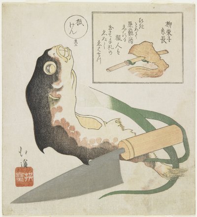 （河豚，韭菜和烹饪刀） 作者 丰田福建