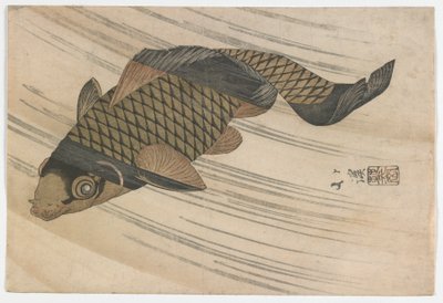 鲤鱼游泳上游，江户时代，1820年代中期（彩色木版画） 作者 丰田福建