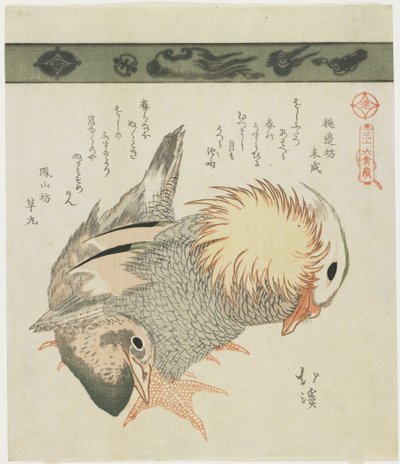 鸳鸯和德雷克，c。 1830 作者 丰田福建