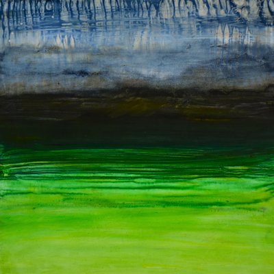 自然非自然系列 , 2004 （油画板） 作者 特蕾西·兰布罗斯