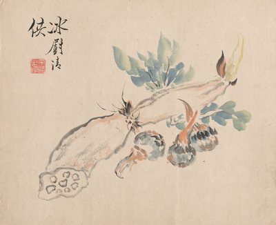 莲Ro和加法舌。 作者 椿金山