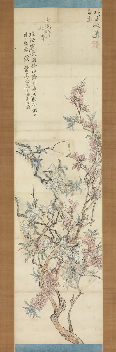 红白相间的桃花，准备素描，1843年。 作者 椿金山
