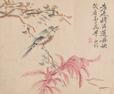 草莓菠菜和夜莺 作者 椿金山