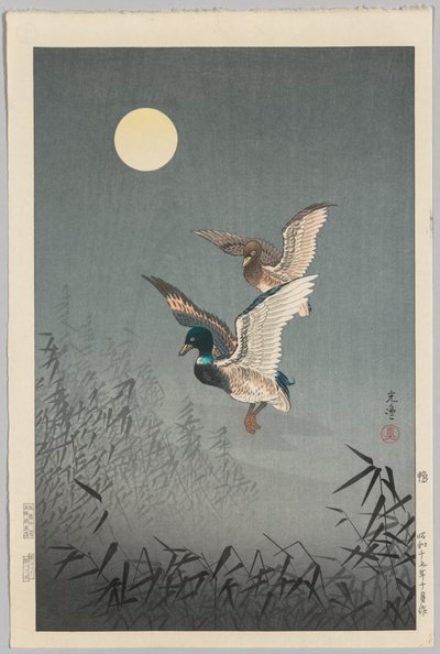 东京景观鸭子 作者 土屋小津