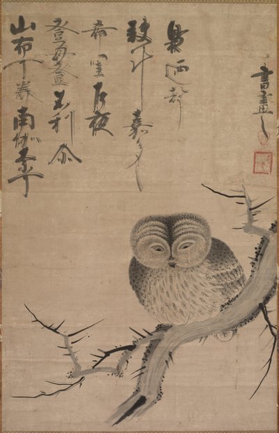 猫头鹰 作者 津田辨作