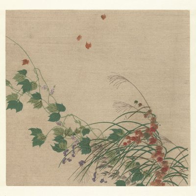 秋季 作者 月冈工业