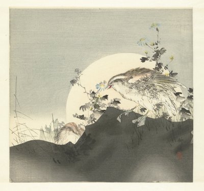 鹌鹑 作者 月冈工业