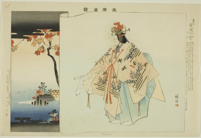 辰田，选自 "没有表演的照片（Nogaku Zue）"系列 作者 月冈工业
