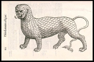 怪物生物：一只覆盖着鱼鳞的狮子（或狮子鱼）。Ulisse Aldrovandi（1522-1605）的雕刻，"Monstrorum Historiae"，Bologna 1642 作者 乌里斯·阿尔德罗万迪