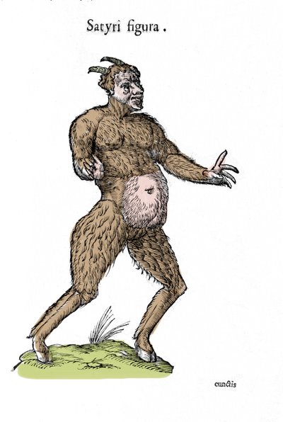 一个萨提尔的形象。Ulisse Aldrovandi (1522-1605)的自然历史手稿的图版，印在怪物身上 作者 乌里斯·阿尔德罗万迪