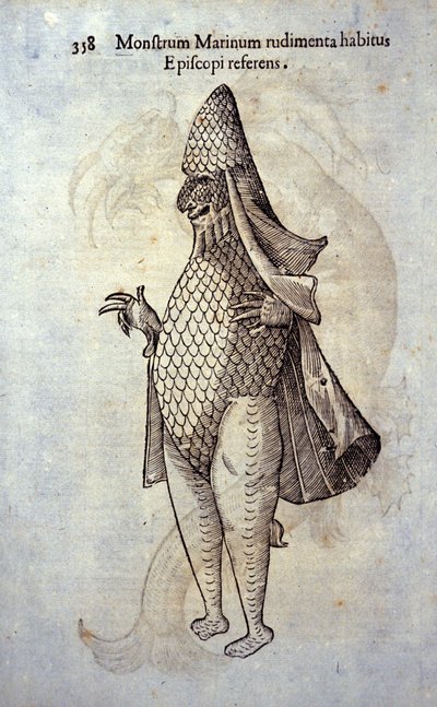 Ulisse Aldrovandi (1522-1605)的《海怪》，"Monstrorum Historiae"，博洛尼亚1642年，想象中的鱼和海洋怪物 作者 乌里斯·阿尔德罗万迪